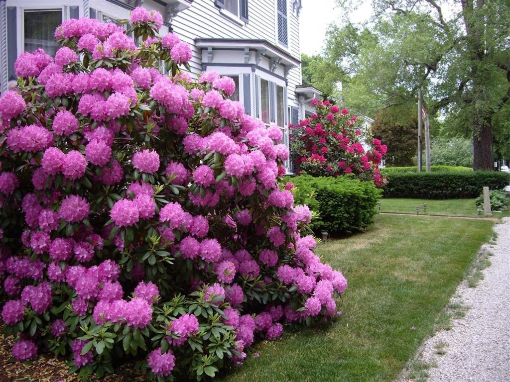 Isaiah Jones Homestead Bed And Breakfast Sandwich Exterior photo